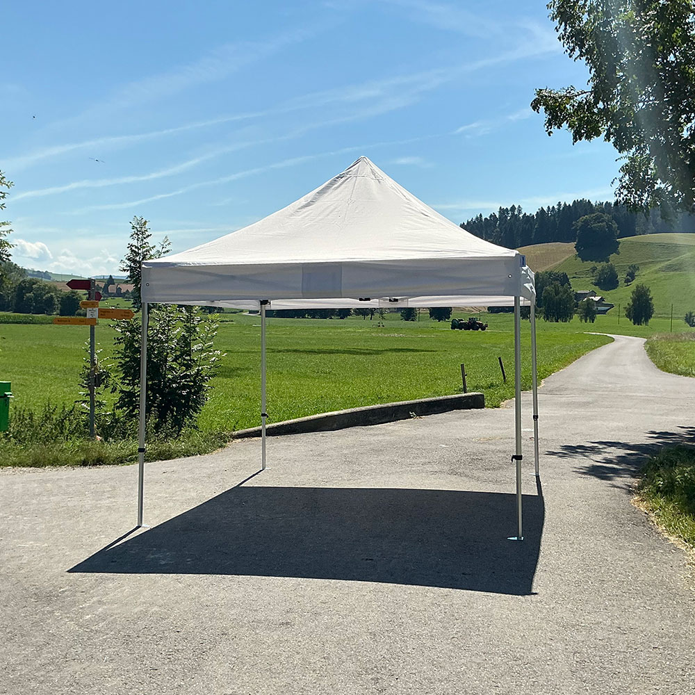 Profi Faltpavillon 3 x3m, schwarz